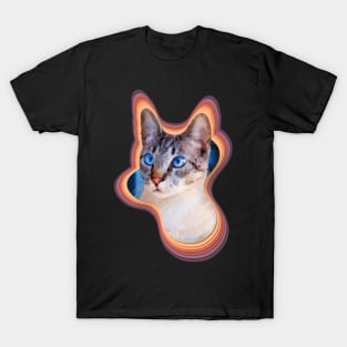 colorful domestic shorthair cat painting T-Shirt